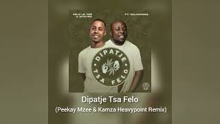 Dipatje Tsa Felo Peekay Mzee amp Kamza Heavypoint Beast Mode Remix [upl. by Anina]