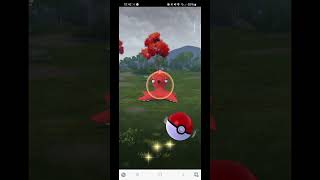 First Catch Octillery in Pokémon Go [upl. by Latsryk648]