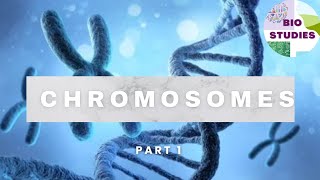 Chromosomes Part 1 genetics biology biostudies [upl. by Ingalls]