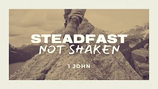 Steadfast Not Shaken Part 16 [upl. by Rubio516]