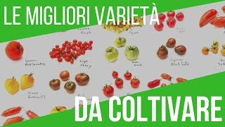 COLTIVARE POMODORI QUALI VARIETÀ SCEGLIERE  FILE DELLA COLTIVAZIONE [upl. by Dru]