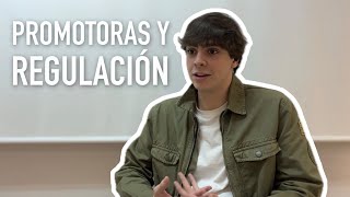 Promotoras y regulación  Entrevista a Álvaro Cástro [upl. by Mij806]