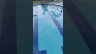 youtube swimming piscinanatural youtubeshorts video piscinaprivada nature 1million 1k [upl. by Htiek]