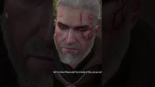 Geralt Forgot To Pay His Taxes [upl. by Lieberman]