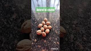 Akhrot ki chatnirecipe😋😋 viral shorttrending short videoYouTube [upl. by Ixela23]