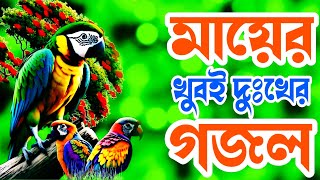 মায়ের খুবই দুঃখের একটা গজল না সুনলে মিস করবেন একবার হলেও সুনেন‌ Viralgojol dukher gojol [upl. by Aicak871]