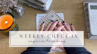 weekly checkin  expense tracking  cash unstuffing  zero based budgeting  family budget [upl. by Helen22]