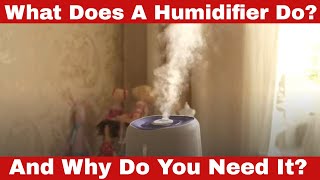 What Does a Humidifier Do Why Do You Need It [upl. by Sundin805]