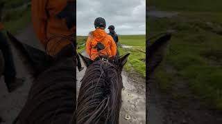 Great ride at Eldhestar shorts iceland icelandichorse horseriding [upl. by Maleen]