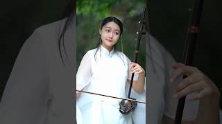 真的好想你 二胡 二胡演奏 erhu erhumusic chinesesong 民族乐器 chinesemusic [upl. by Arahas986]