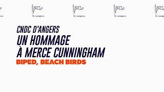 18e Biennale de la danse  Merce Cunningham  BIPED Beach Birds [upl. by Yecrad]