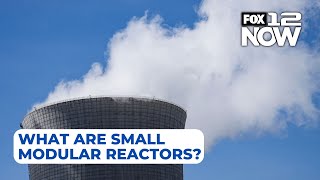 What are Amazons SMR nuclear energy facilities [upl. by Meer]