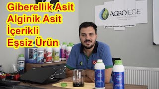 AGROEGE BOSTEER ALGUE  DENİZ YOSUNU [upl. by Tedi]