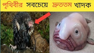 পৃথিবীর অদ্ভুত যত প্রাণী  যা আপনাকে অবাক করতে বাধ্য করবে  Some weird animal in the world [upl. by Jung]