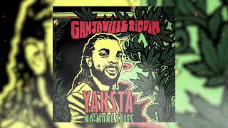 Yaksta  NO More Sales Ganjaville Riddim Official visualizer [upl. by Nayr724]