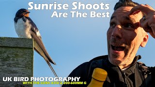 This is why I love sunrise shoots  UK Bird Photography [upl. by Austen]