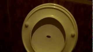 Autoflush VILLEROYampBOSH Toilet [upl. by Tessie]