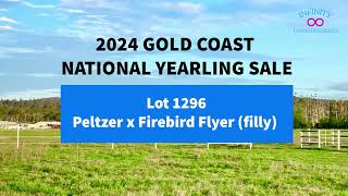 2024 GC National Yearling Sale  Lot 1296  Peltzer x Firebird Flyer  Filly [upl. by Neram582]