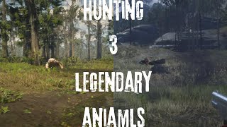 3 legendary animal location in rdr2 [upl. by Lybis]