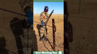 Best working day 795 Metal wire fence installation process [upl. by Elrak]