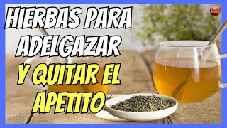 🔴 HIERBAS PARA ADELGAZAR Y QUITAR EL APETITO 💝 [upl. by Sampson]