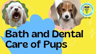 Bathing and Dental Care for Pups Comprehensive Guide for New Pet Owners [upl. by Calen]