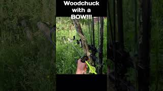 I got a Woodchuck with a BOW [upl. by Lanni]