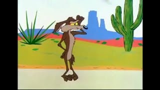 Coyote And Road Runner Cartoons For Kids6 [upl. by Isolt]