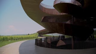 Antinori Family  Italian Wine Producers  Cult Wines [upl. by Naus]