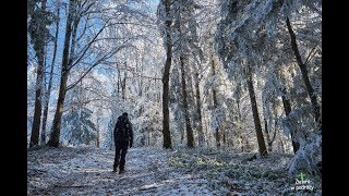 Jaworze wieża widokowa i zima w Beskidzie Niskim [upl. by Oigile]