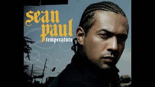 Sean Paul  Temperature  Afro Remix [upl. by Eileen429]