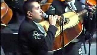 MARIACHI VARGAS DE TECALITLAN EL PASTOR [upl. by Atram]