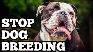 Stop Breeding Dogs  Pedigree of Evil [upl. by Hilliard711]