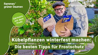 Kübelpflanzen winterfest machen Die besten Tipps für Frostschutz [upl. by Arimaj]