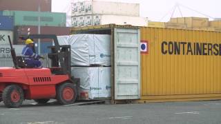 Containerships Group  Timber Loading [upl. by Nas]