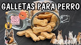 COMO HACER PREMIOS PARA TU PERRO Nuestro Amor [upl. by Akyssej]