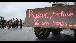 Colère des agriculteurs  la Confédération paysanne appelle ses adhérents à se mobiliser [upl. by Damahom622]