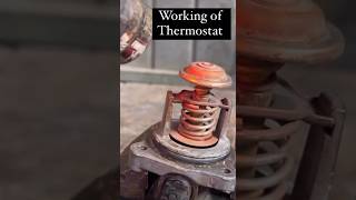 How Thermostat works automobile mechanic shorts lifehacks [upl. by Redmer597]