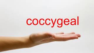 How to Pronounce coccygeal  American English [upl. by Erastus616]