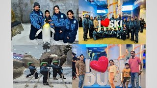 Snow park ☃️🌁Penguins🐧Ice skating⛷️ SKI Dubai Place to visit in Dubai for One day family tour [upl. by Aicrag]