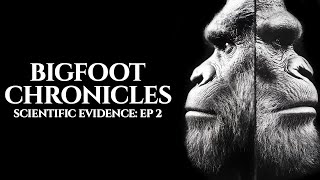 Scientific Evidence from Head to Toe  Bigfoot Chronicles EP2 [upl. by Bello344]