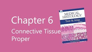 Connective Tissue Proper Laiq Hussain Histology [upl. by Mcripley]