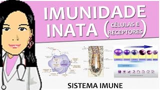 Imunologia 02  Imunidade Inata células e receptores  Vídeoaula de Sistema Imune [upl. by Selrhc938]