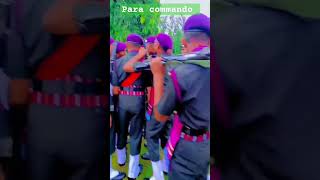 Para commando my brother indianparacommando [upl. by Airotna851]