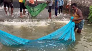 Fishing in village canal fish fishing canal village nature [upl. by Reham]