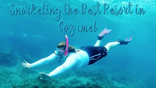 Snorkeling at the Best Resort in Cozumel [upl. by Sevy]