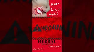 Maida Kharab Hone Ki Alamat In Urdu  How does the Stomach Function  stomach problems solution [upl. by Randell952]