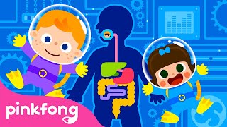 Digestione｜Body Song  Canzoni sul Corpo｜Bimbo Squalo｜Pinkfong Canzoni per Bambini [upl. by Schenck640]