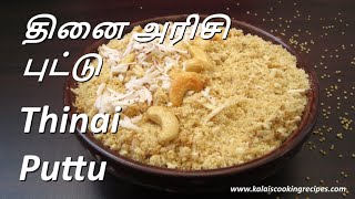 Thinai Arisi Puttu  தினை புட்டு  Foxtail Millet Puttu  Healthy Siru Thaniyam Breakfast  Millet [upl. by Hniv]