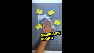 What Michigans Prop 3 means for abortion shorts [upl. by Etteloc]